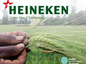 Heineken Joins the Challenge 2020