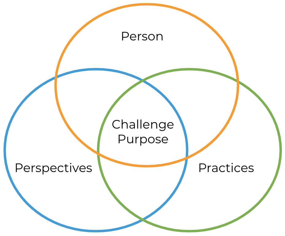 Person/perspectives/practices